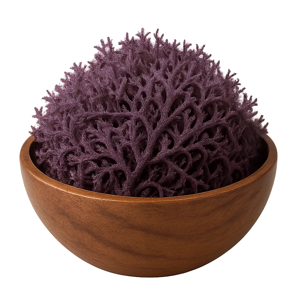 Lucian Purple Sea Moss 