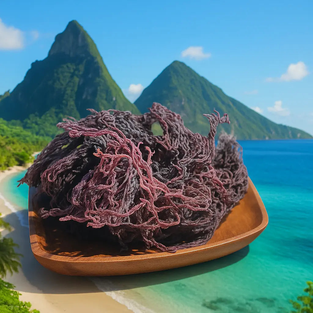Lucian Purple Sea Moss 